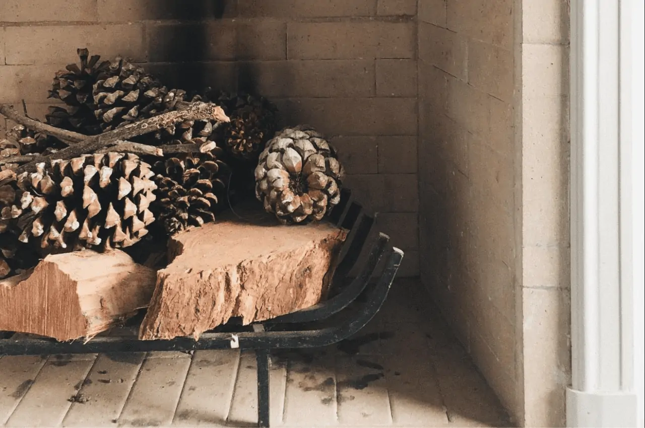 Pine cones and wooden logs in a fireplace