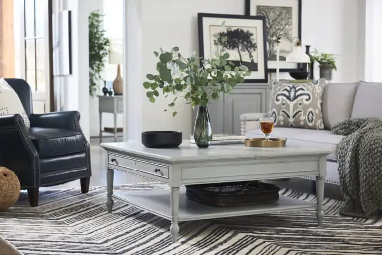 Coffee table with vase and plants