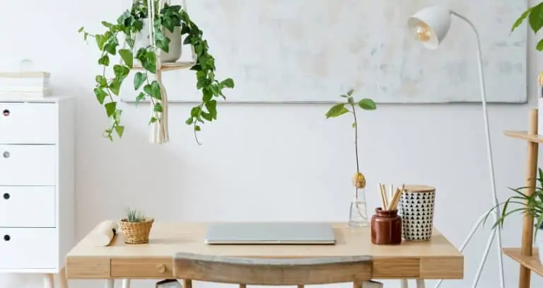 Home office plant desk